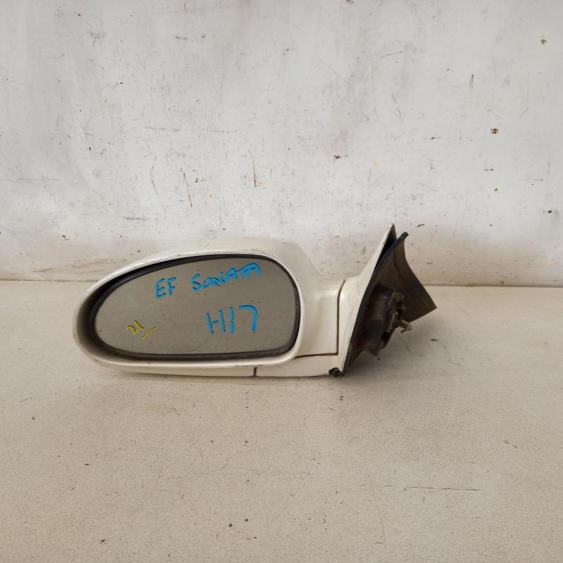 door mirror left