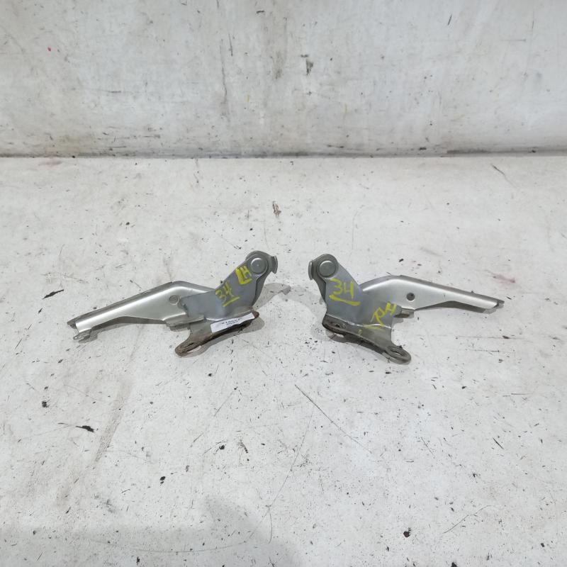bonnet hinge/strut