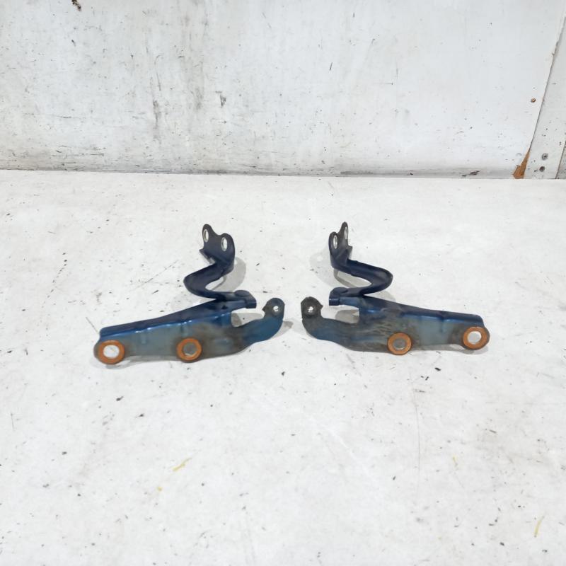 bonnet hinge/strut