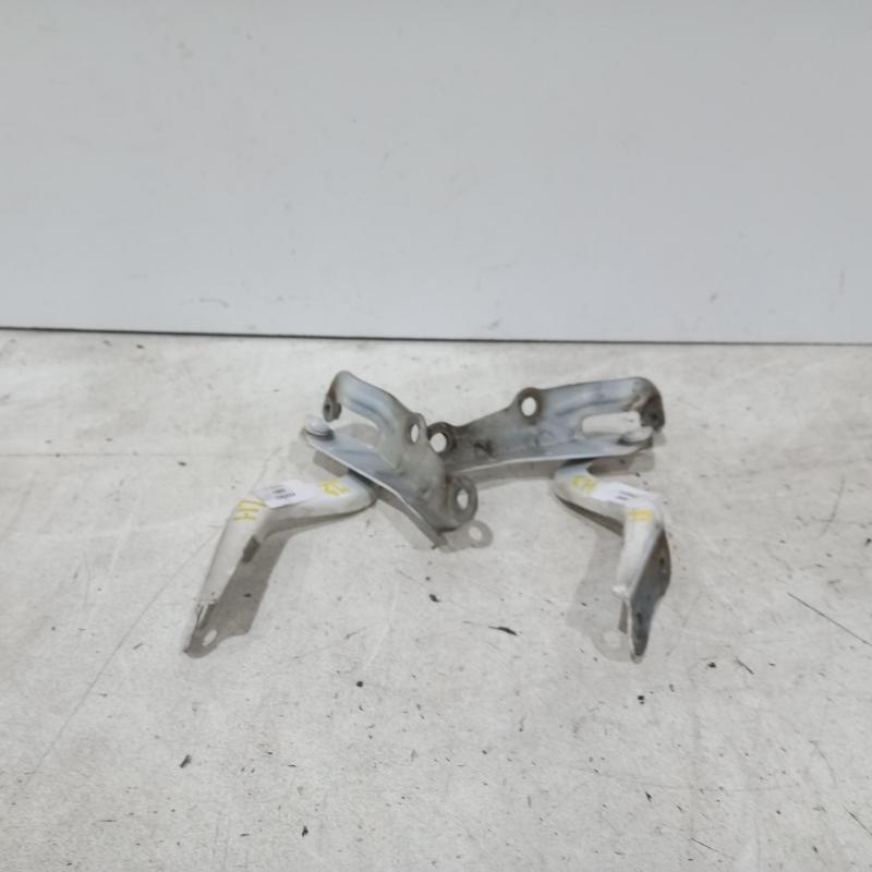 bonnet hinge/strut
