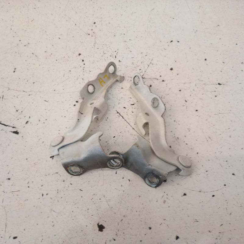 bonnet hinge/strut