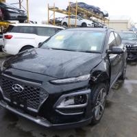 Hyundai 2017 ~ 2023 Kona