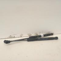 bonnet hinge/strut