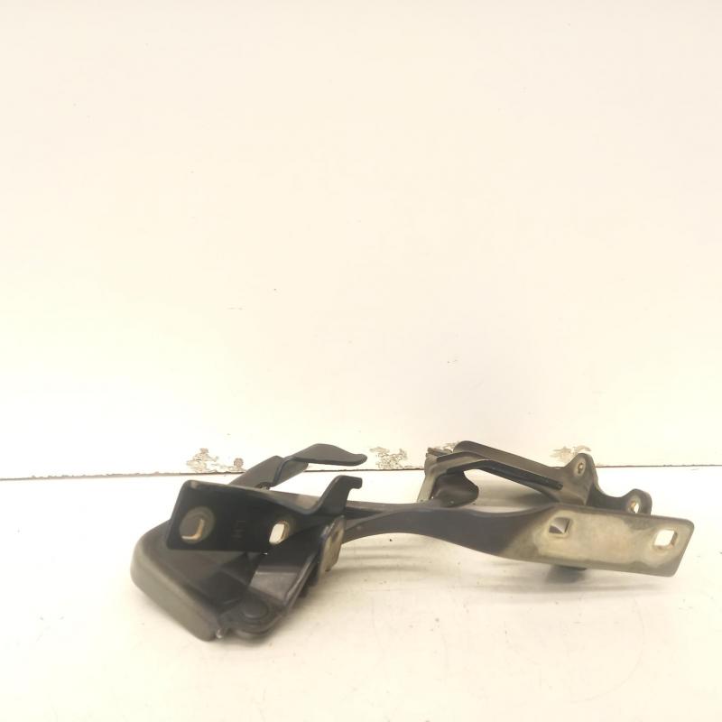 bonnet hinge/strut