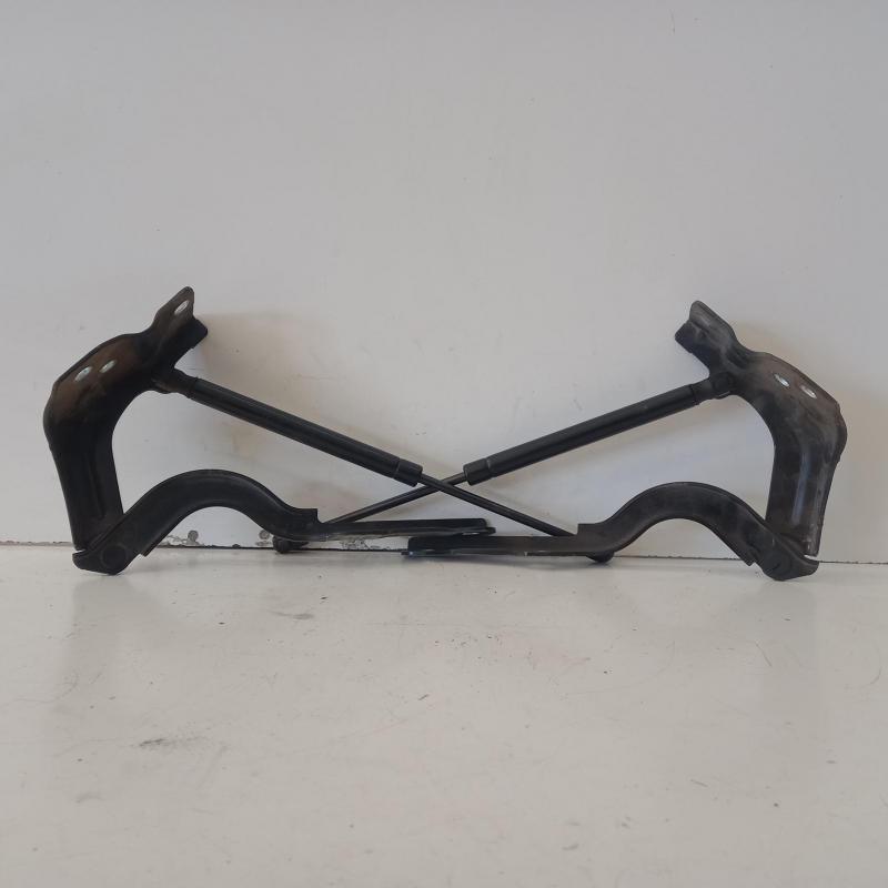 bonnet hinge/strut