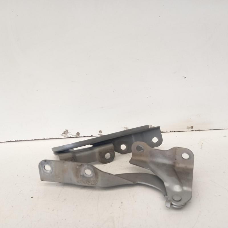 bonnet hinge/strut