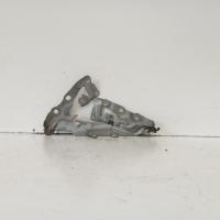 bonnet hinge/strut