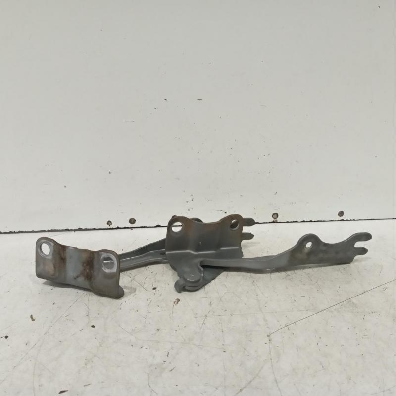 bonnet hinge/strut