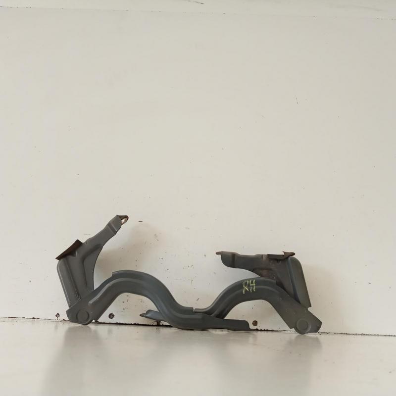 bonnet hinge/strut