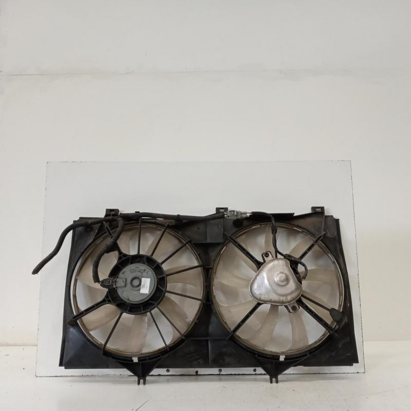 fan