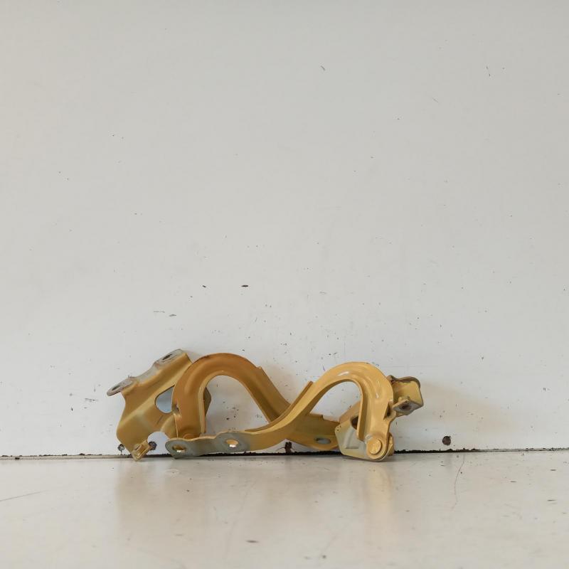 bonnet hinge/strut