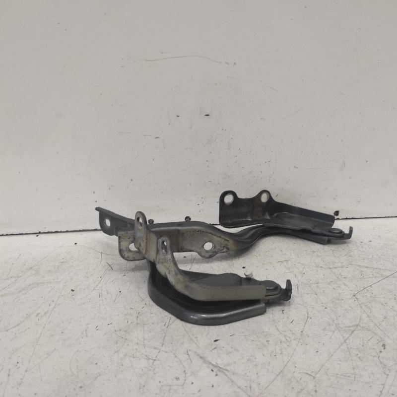 bonnet hinge/strut