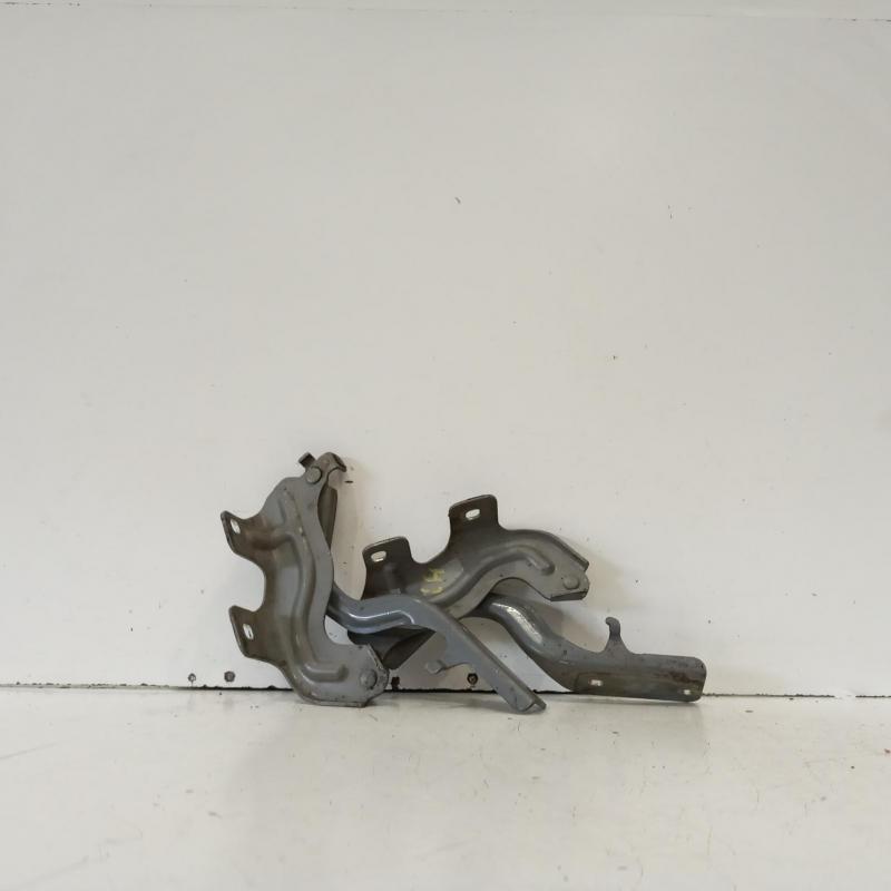 bonnet hinge/strut