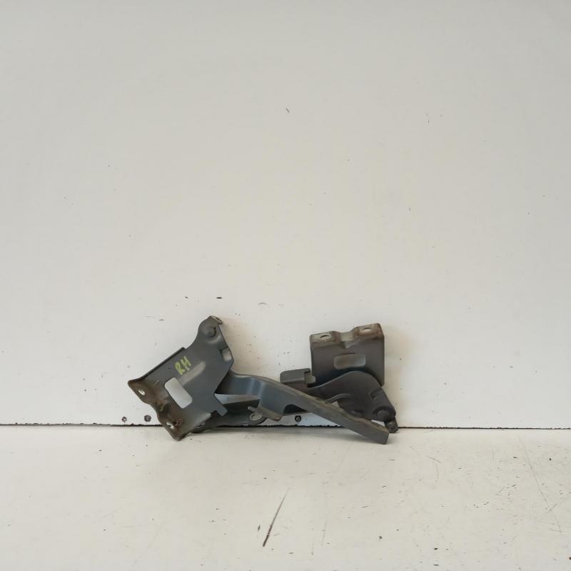 bonnet hinge/strut