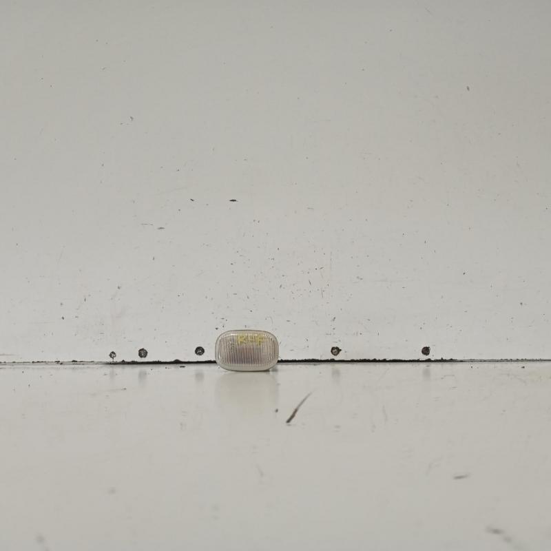 右指示器/雾/侧