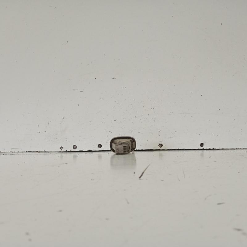 右指示器/雾/侧