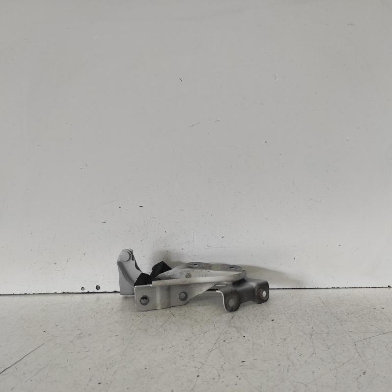 bonnet hinge/strut