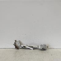 bonnet hinge/strut