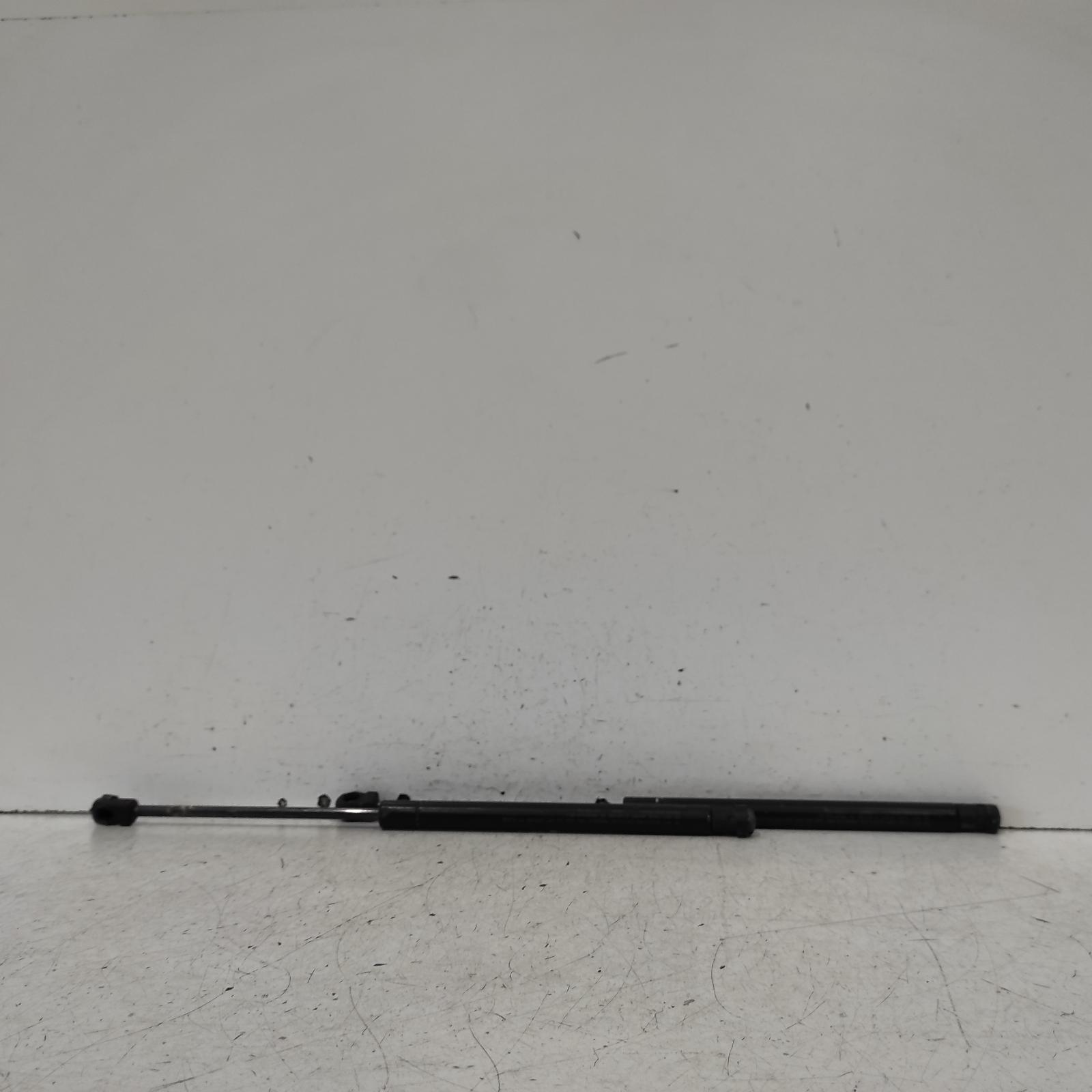 Landcruiser Bonnet Hinge/strut 1998-2007 100 series,struts (pair),01/98-10/07 00020862 #622751