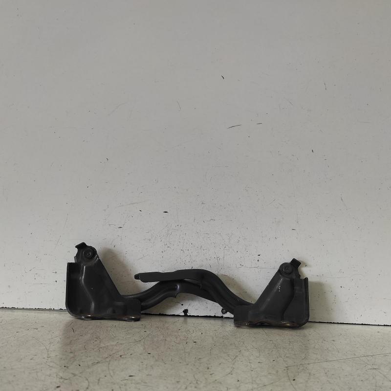bonnet hinge/strut
