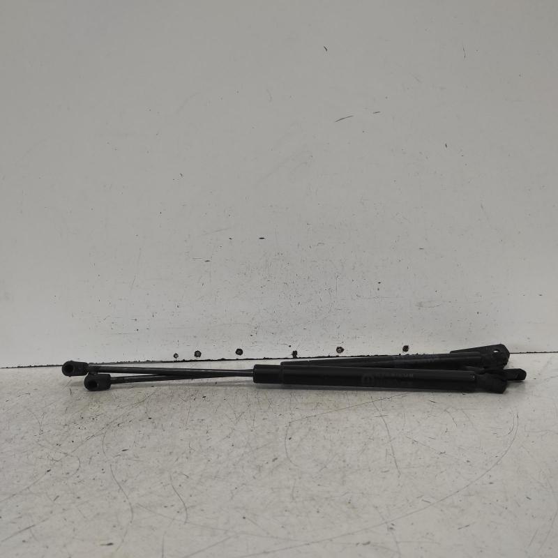 hatch strut