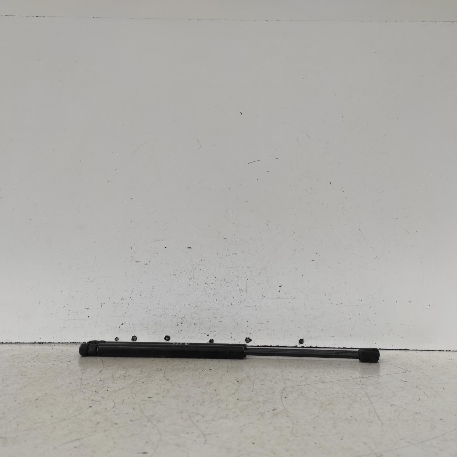 Landcruiser Bonnet Hinge/strut 1998-2007 100 series,struts (pair),01/98-10/07 00020839 #623913