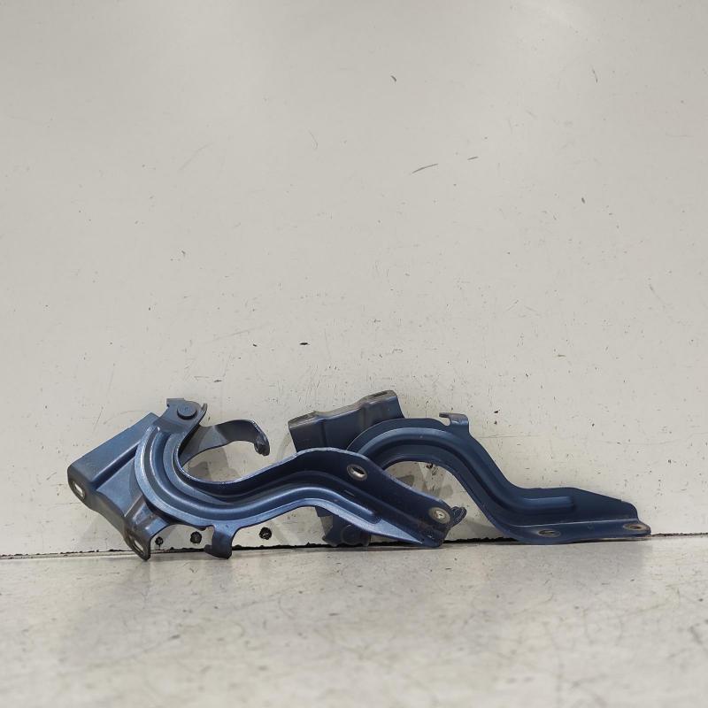 bonnet hinge/strut