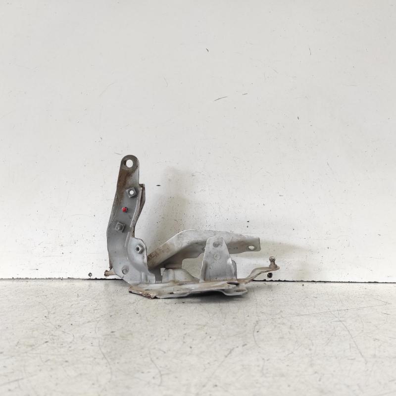 bonnet hinge/strut