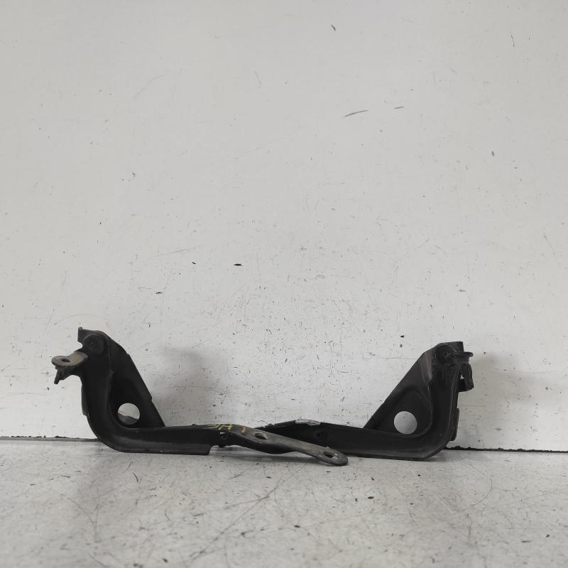 bonnet hinge/strut