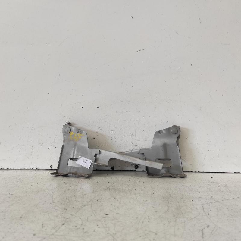 bonnet hinge/strut