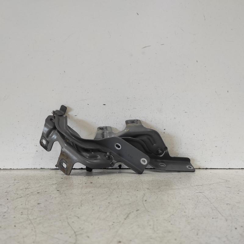 bonnet hinge/strut