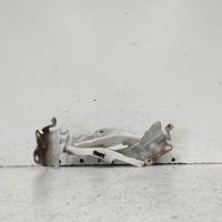 bonnet hinge/strut