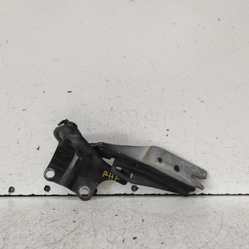 bonnet hinge/strut