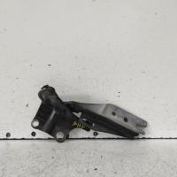 bonnet hinge/strut