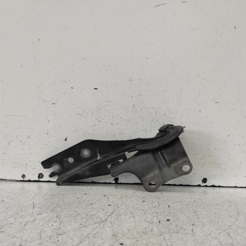 bonnet hinge/strut