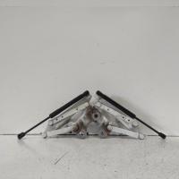 bonnet hinge/strut