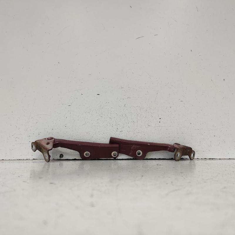 bonnet hinge/strut