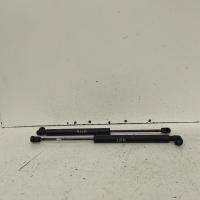 hatch strut