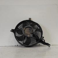 fan