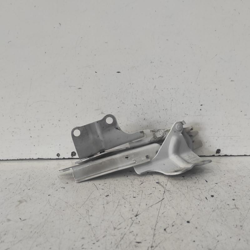 bonnet hinge/strut