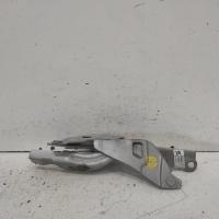 bonnet hinge/strut