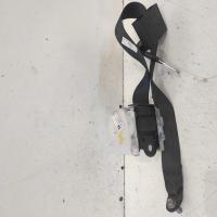 seat belt stalk