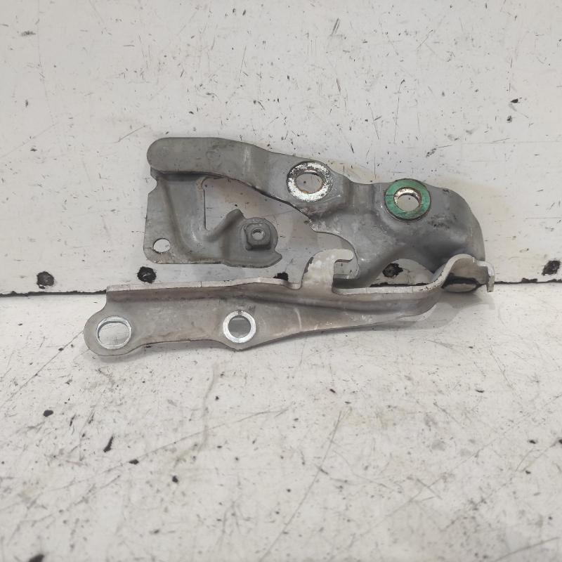 bonnet hinge/strut