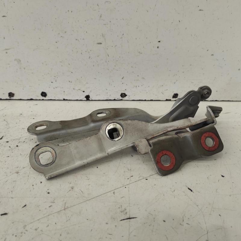 bonnet hinge/strut