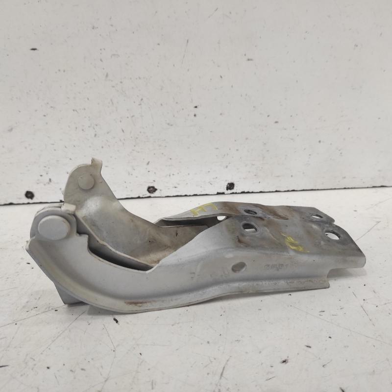 bonnet hinge/strut