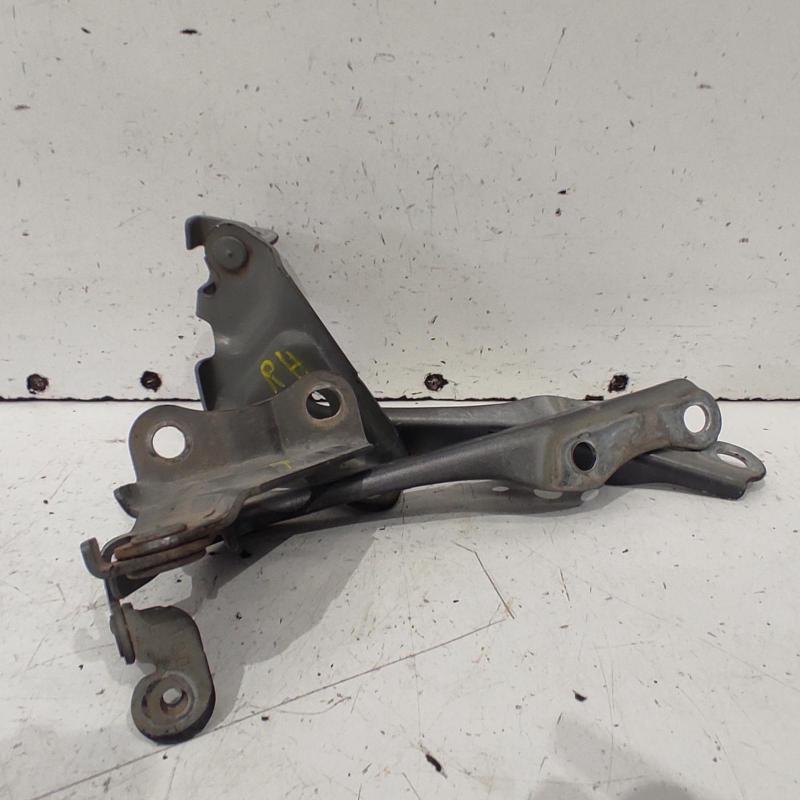 bonnet hinge/strut