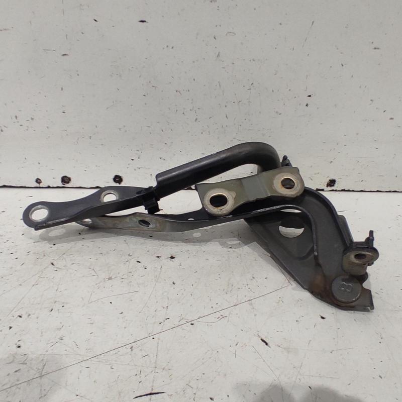 bonnet hinge/strut