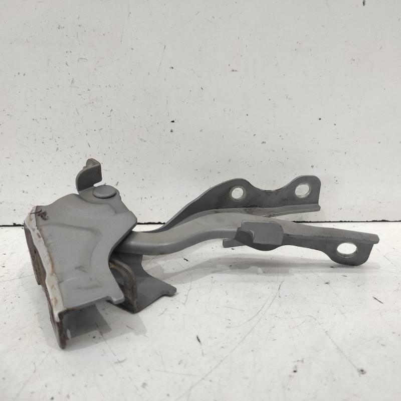 bonnet hinge/strut