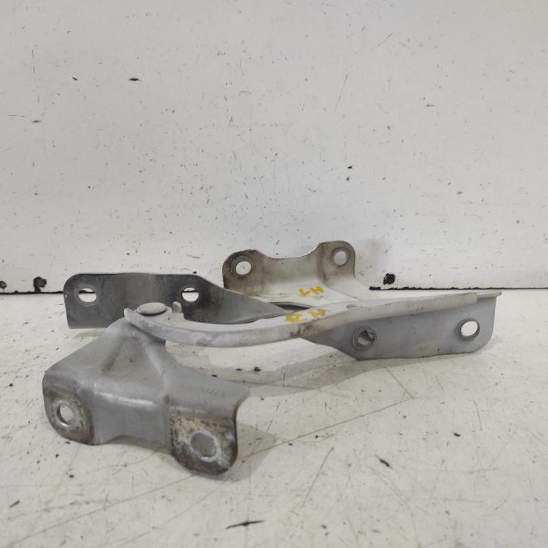 bonnet hinge/strut