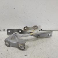 bonnet hinge/strut